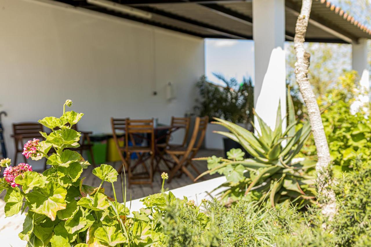 סרפה Monte Da Morena Agro-Turismo מראה חיצוני תמונה