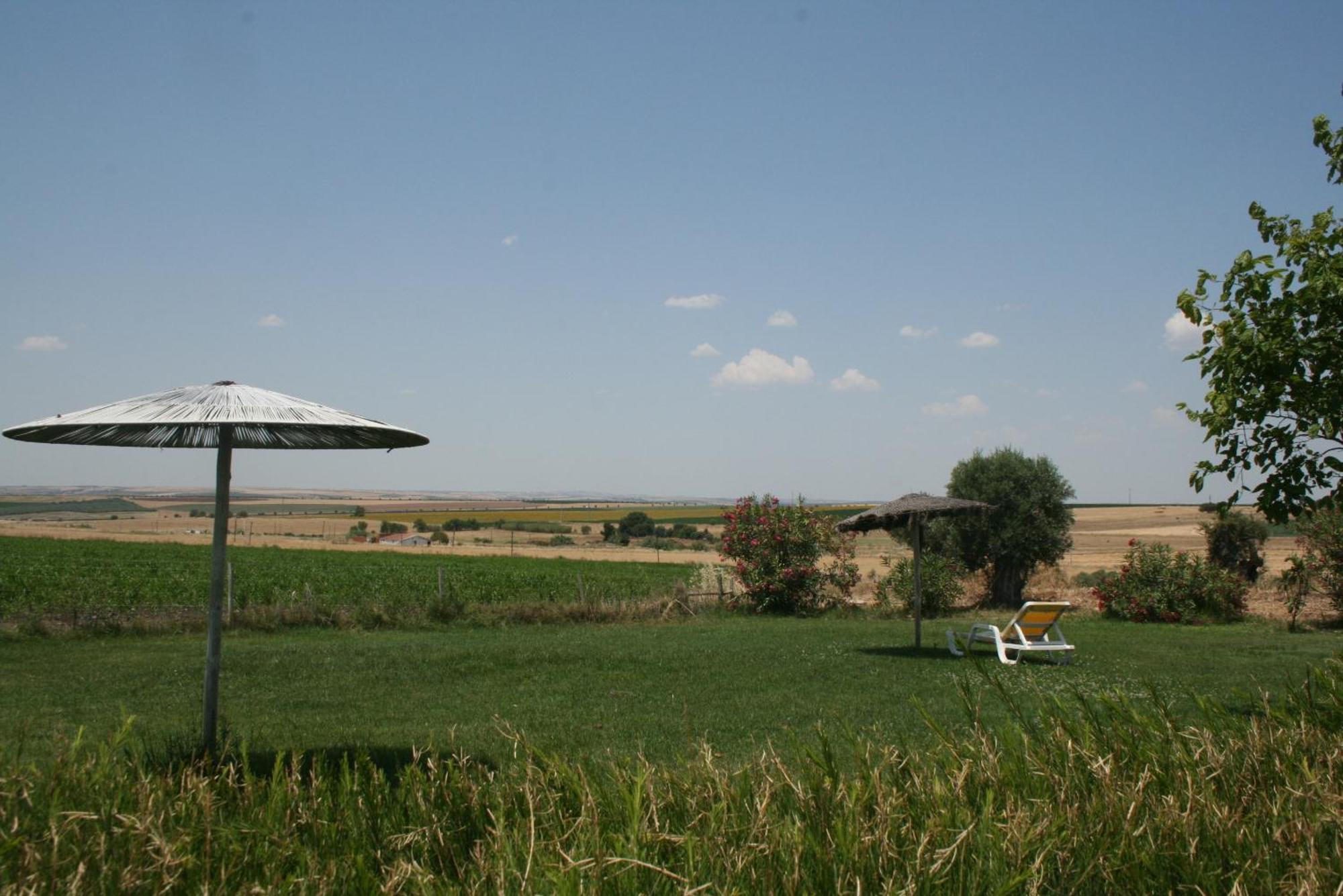 סרפה Monte Da Morena Agro-Turismo מראה חיצוני תמונה