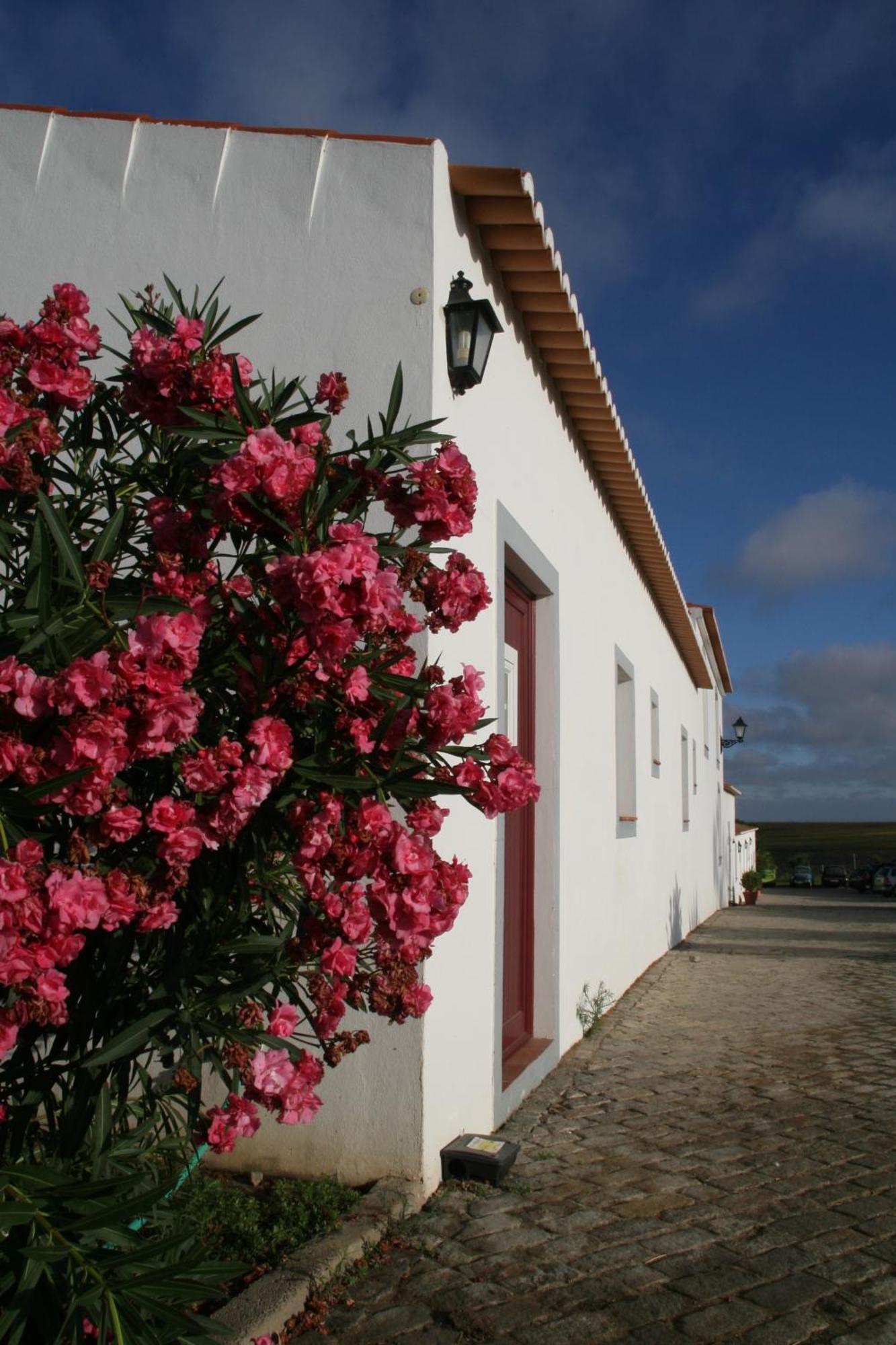 סרפה Monte Da Morena Agro-Turismo מראה חיצוני תמונה