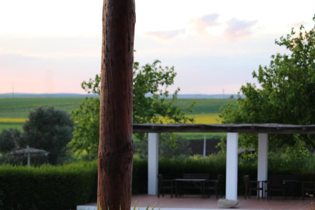 סרפה Monte Da Morena Agro-Turismo מראה חיצוני תמונה