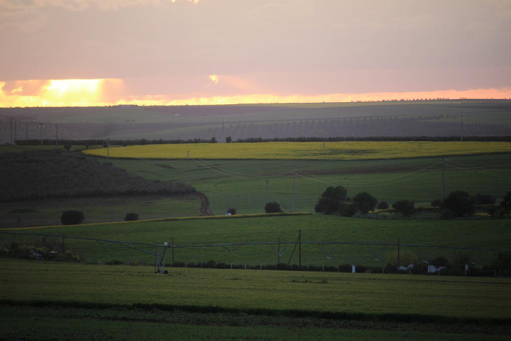 סרפה Monte Da Morena Agro-Turismo מראה חיצוני תמונה