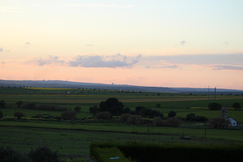 סרפה Monte Da Morena Agro-Turismo מראה חיצוני תמונה